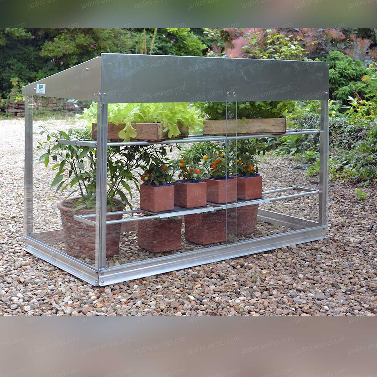 Mini serre en verre et aluminium 0.80m2 serre jardin