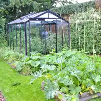 Serre prestige noir ACD 8.61m2 R205H