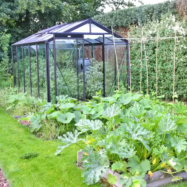 serre potager alu noir R205h