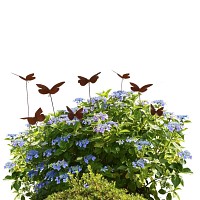 Silhouette papillon en métal rouillé
