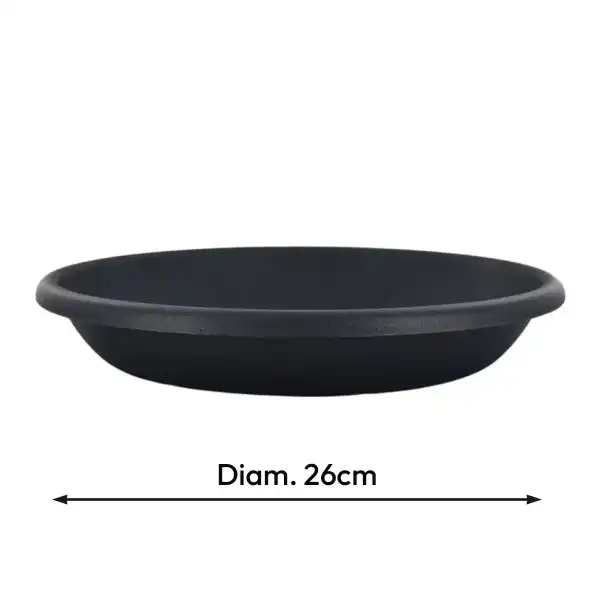 soucoupe cage anti etourneaux