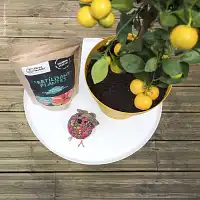 Biostimulant pour plante, potager et arbre Trilis