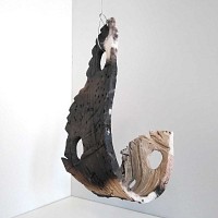 Support en céramique et plantes épiphytes Tillandsias
