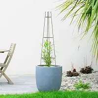 Tuteur colonne - Support pour plante grimpante H. 150 x D. 36cm