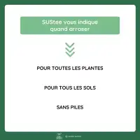 Testeur d'humidité pour plantes - Indicateur d'arrosage SUStee pour savoir quand arroser
