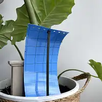 Piège chromatique bleu contre les thrips