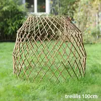Treillis de protection pour animaux, potager et plantes grimpantes - Manchon