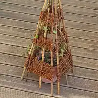 Tuteur tipi structure en noisetier - Plantes grimpantes et tomates