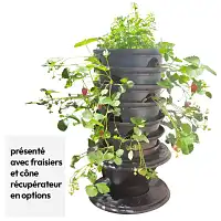 Tour de fraises, jardinière avec lombricomposteur intégré  Tour de fraises, jardinière avec lombricomposteur intégré