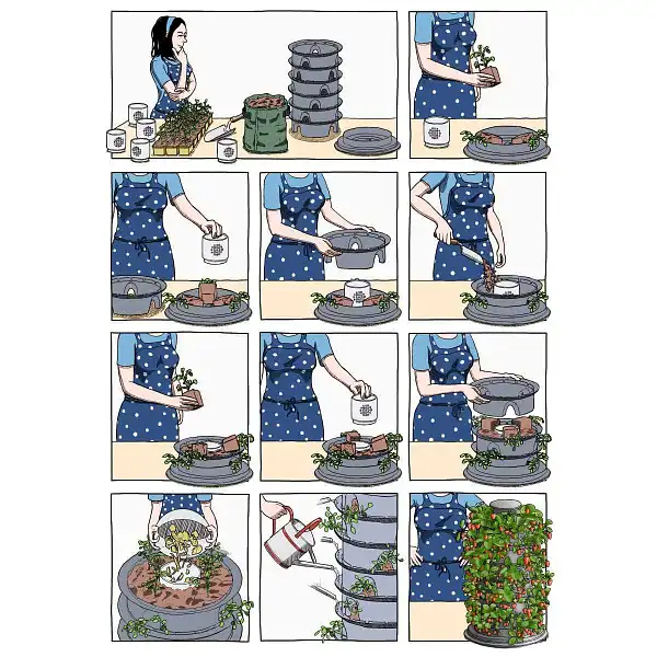 tour fraises lombricomposteur  tour fraises lombricomposteur