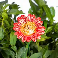 Tournesol rouge - Fleur en céramique sur tige à planter