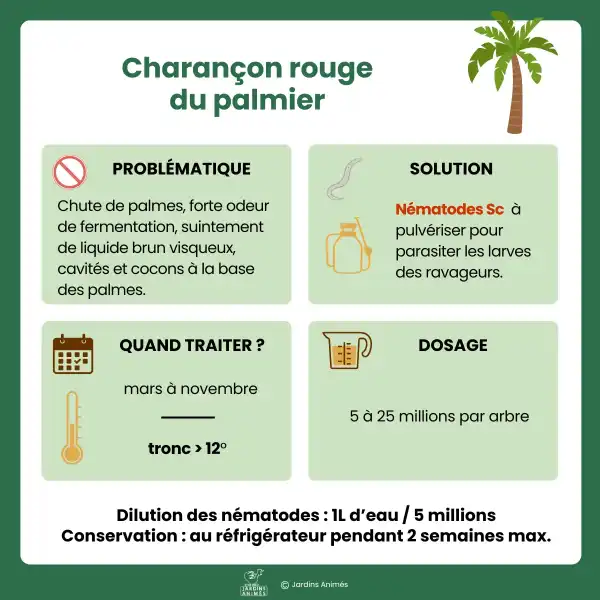traitement nematodes charancon palmier