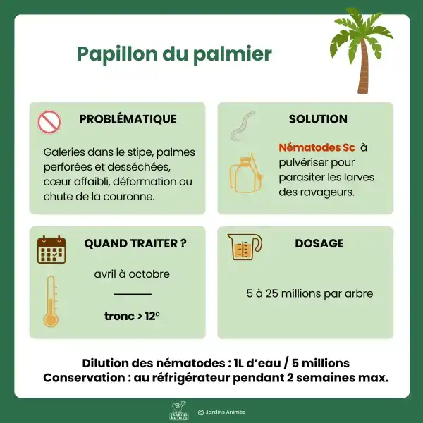 traitement nematodes papillon palmier