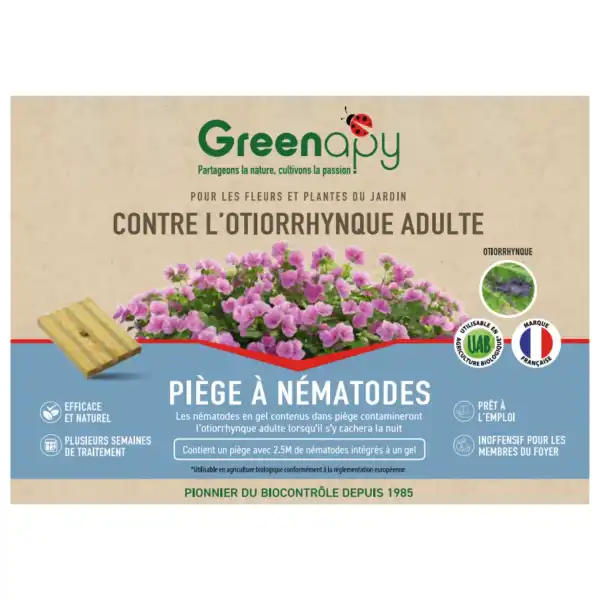 traitement otiorrhynques adultes nematodes