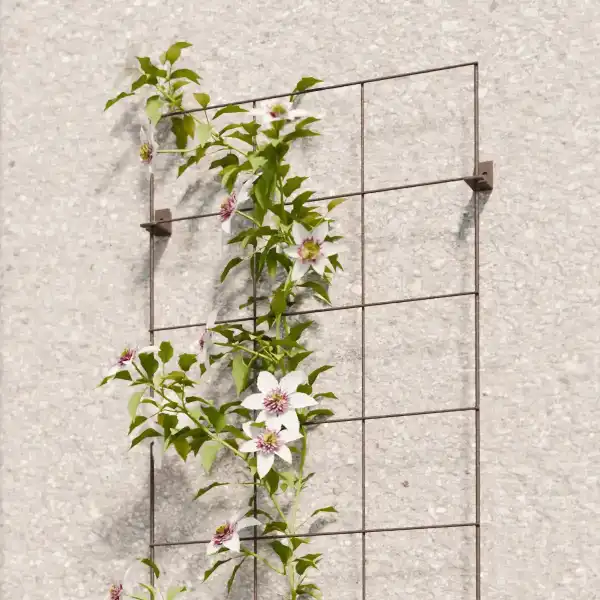 treillage acier noir 45x150cm situation grimpante 2