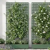 Treillage en bois L.2m x l.1m - vert- panneau rectangle, maille losange 47mm