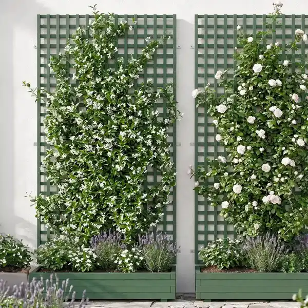 treillage mur support grimpante