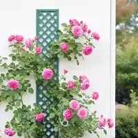 Treillage en bois Colonne maille carrée ou losange - différents coloris