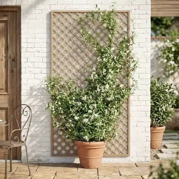 treillage mural support pot fleur