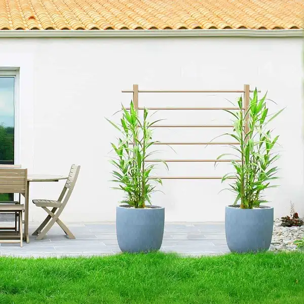 treillis bois plante pot  treillis bois plante pot