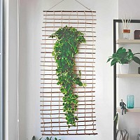 Treillis en bois et corde pour plante grimpante et décoration murale - Branches osier et corde jute H.200cm