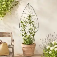 Treillis décoratif grande Feuille - Tuteur pour plante grimpante en fer L.72,50 x H.180cm