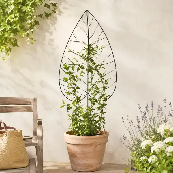 treillis deco plante en pot