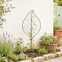 Treillis décoratif Feuille - Tuteur pour plante grimpante en fer L.62 x H.140cm
