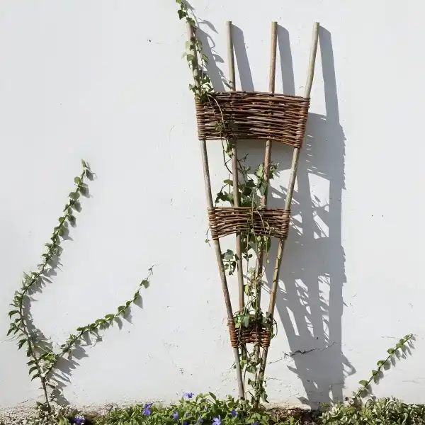 treillis eventail osier mur maison