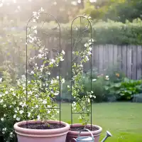 Treillis grille volute oiseau étroit - brun - H.170 x l.30 cm