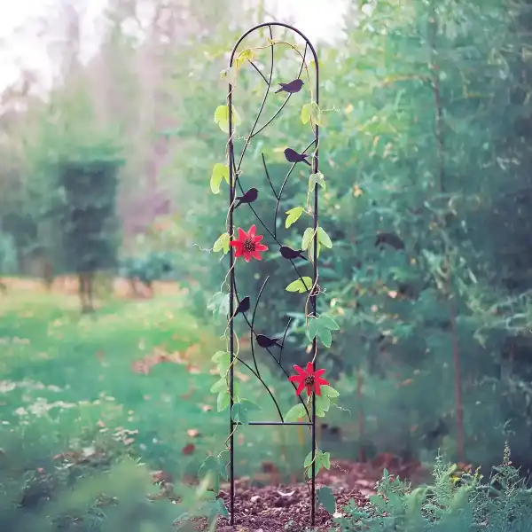 treillis volute oiseau dafe101  treillis volute oiseau dafe101