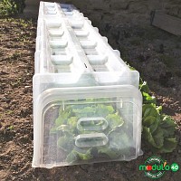 Kit 3 tunnels 100x40x30cm + 2 embouts + 10 piquets