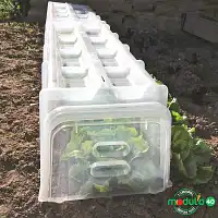 Kit 3 tunnels 100x40x30cm + 2 embouts + 10 piquets  Kit 3 tunnels 100x40x30cm + 2 embouts + 10 piquets