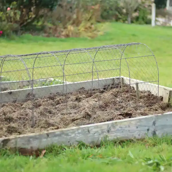 tunnel grillage poule potager