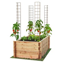 Tuteur angle droit pour plantes grimpantes - 150cm