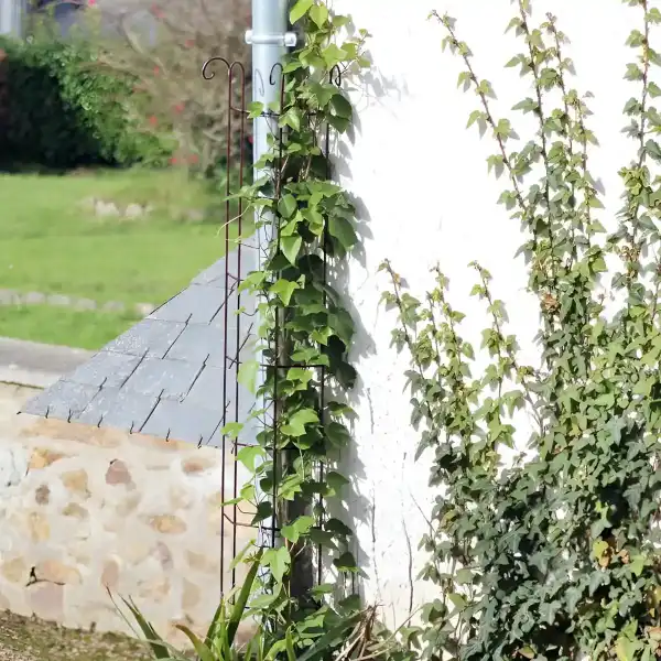 tuteur colonne volute dafe50