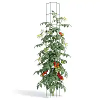 Tuteurs tomate universel - lot de 2 - H.170cm