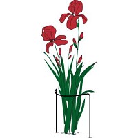 Tuteur demi cercle pour plantes vivaces touffues