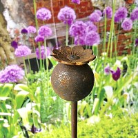 Pavot boule sur tige en métal rouillé