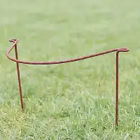 Tuteur demi cercle pour plantes vivaces touffues