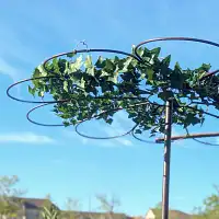 Tuteur Parapluie marguerite diam.110cm  Tuteur Parapluie marguerite diam.110cm