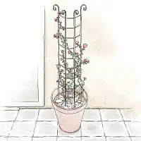 Tuteur colonne volute - Rosiers et plantes grimpantes - Marron - acier peint  Tuteur colonne volute - Rosiers et plantes grimpantes - Marron - acier peint