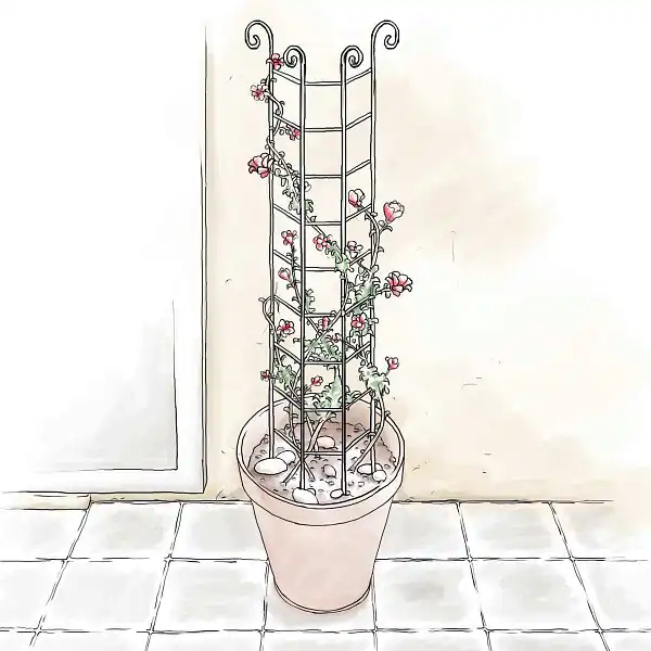 tuteur plante grimpante pot  tuteur plante grimpante pot