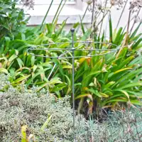 Tuteurs ronds pour plantes à massif en métal brut - lot de 3