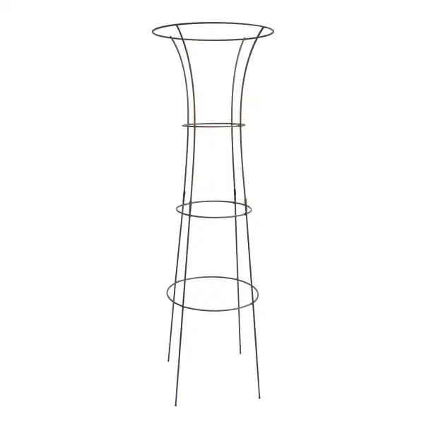 tuteur rosier grimpant acier