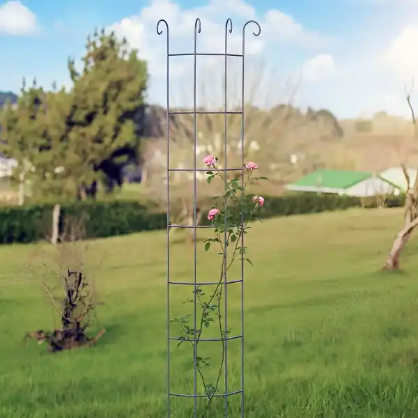 tuteur rosier volute dafe50