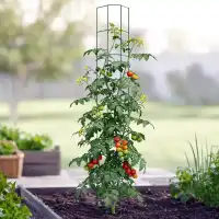 Tuteurs tomate universel - lot de 2 - H.170cm