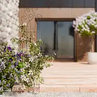 Tuteur treillage en acier pour rosier et plante grimpante avec volutes L. 39,5 x H. 170cm  Tuteur treillage en acier pour rosier et plante grimpante avec volutes L. 39,5 x H. 170cm