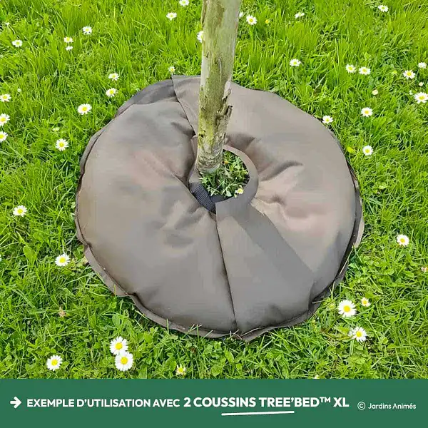 utilisation coussins arrosage tree bed
