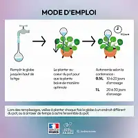 Globe d'arrosage en verre pour plante, cristal de Baccarat - Réserve d'eau 0.5L ou 1L